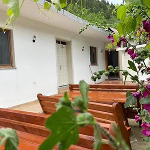  Maison d'hôtes Thethi Mountain