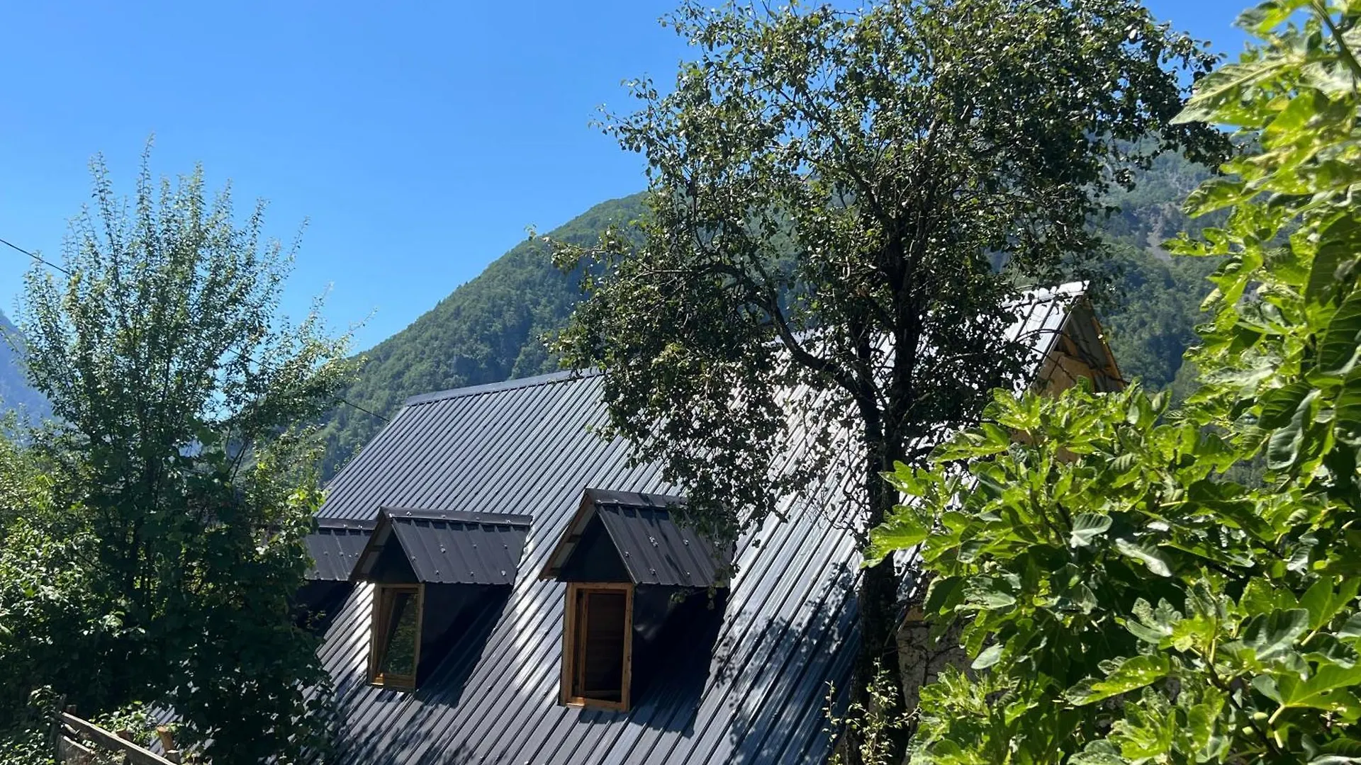 Guest house Te Oli Hotel Grunas